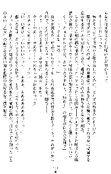 ダブル姫騎士 隷辱の王室, 日本語