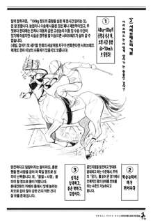 Centaur Musume de Manabu Hajimete no Thoroughbred, 한국어