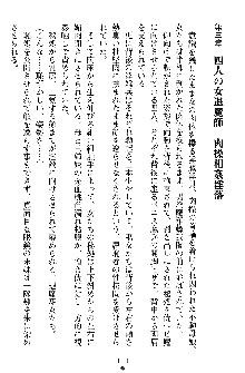 姦落の巫女姉妹 弐, 日本語