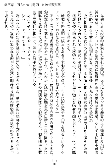 姦落の巫女姉妹 弐, 日本語