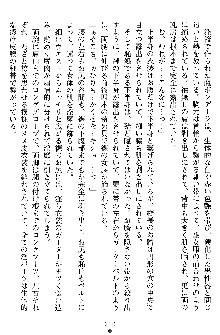 姦落の巫女姉妹 弐, 日本語