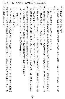 姦落の巫女姉妹 弐, 日本語