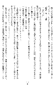 姦落の巫女姉妹 弐, 日本語