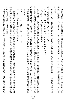 姦落の巫女姉妹 弐, 日本語