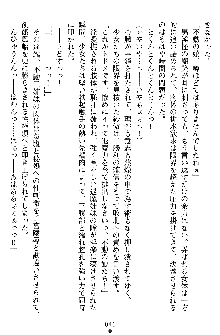 姦落の巫女姉妹 弐, 日本語