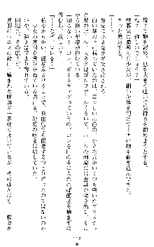 ブラッディバトラー ミナとルシエと淫靡な牙, 日本語