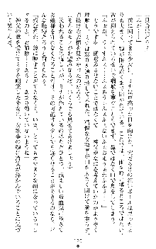 ブラッディバトラー ミナとルシエと淫靡な牙, 日本語