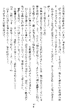 ブラッディバトラー ミナとルシエと淫靡な牙, 日本語