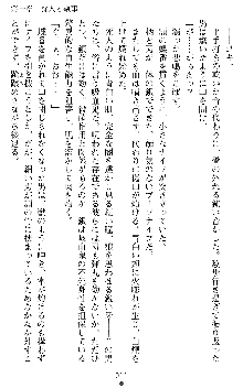 ブラッディバトラー ミナとルシエと淫靡な牙, 日本語