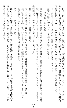 ブラッディバトラー ミナとルシエと淫靡な牙, 日本語