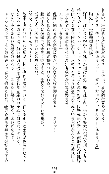 ブラッディバトラー ミナとルシエと淫靡な牙, 日本語