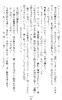 ブラッディバトラー ミナとルシエと淫靡な牙, 日本語