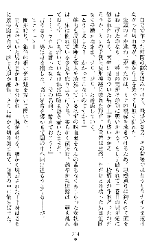 ブラッディバトラー ミナとルシエと淫靡な牙, 日本語