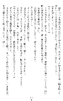 ブラッディバトラー ミナとルシエと淫靡な牙, 日本語