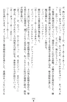 淫辱の魔法捜査官 羞恥陵辱24時, 日本語