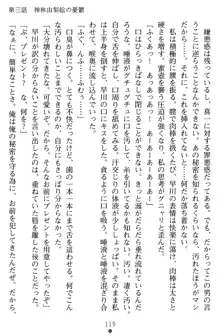 淫辱の魔法捜査官 羞恥陵辱24時, 日本語