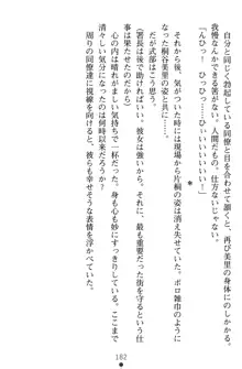 淫辱の魔法捜査官 羞恥陵辱24時, 日本語