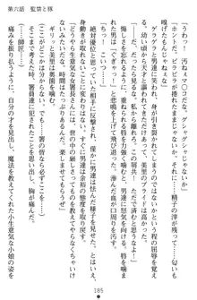 淫辱の魔法捜査官 羞恥陵辱24時, 日本語