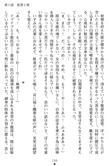 淫辱の魔法捜査官 羞恥陵辱24時, 日本語