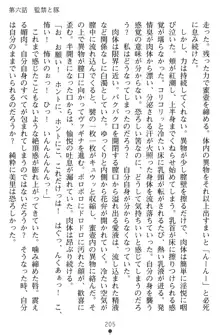 淫辱の魔法捜査官 羞恥陵辱24時, 日本語