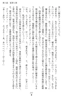 淫辱の魔法捜査官 羞恥陵辱24時, 日本語