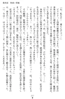 淫辱の魔法捜査官 羞恥陵辱24時, 日本語