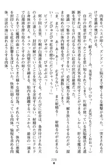 淫辱の魔法捜査官 羞恥陵辱24時, 日本語