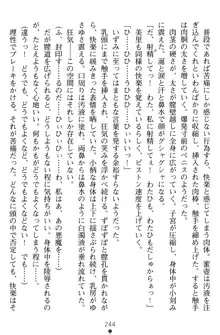 淫辱の魔法捜査官 羞恥陵辱24時, 日本語