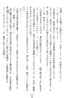 淫辱の魔法捜査官 羞恥陵辱24時, 日本語