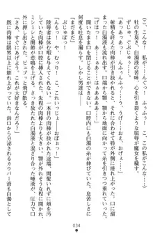 淫辱の魔法捜査官 羞恥陵辱24時, 日本語