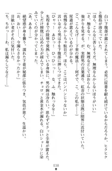 淫辱の魔法捜査官 羞恥陵辱24時, 日本語