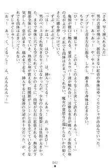 淫辱の魔法捜査官 羞恥陵辱24時, 日本語