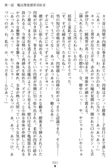 淫辱の魔法捜査官 羞恥陵辱24時, 日本語