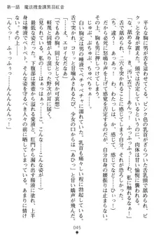 淫辱の魔法捜査官 羞恥陵辱24時, 日本語