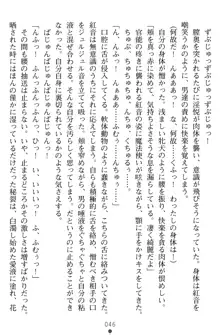 淫辱の魔法捜査官 羞恥陵辱24時, 日本語