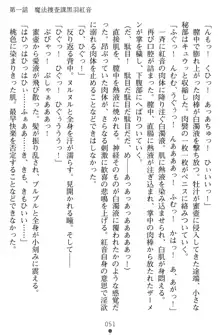 淫辱の魔法捜査官 羞恥陵辱24時, 日本語