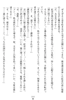 淫辱の魔法捜査官 羞恥陵辱24時, 日本語