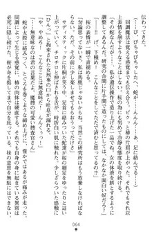 淫辱の魔法捜査官 羞恥陵辱24時, 日本語