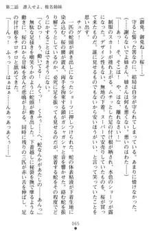 淫辱の魔法捜査官 羞恥陵辱24時, 日本語