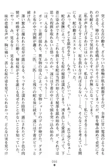 淫辱の魔法捜査官 羞恥陵辱24時, 日本語