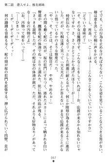 淫辱の魔法捜査官 羞恥陵辱24時, 日本語