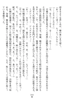 淫辱の魔法捜査官 羞恥陵辱24時, 日本語