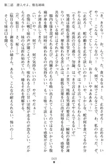 淫辱の魔法捜査官 羞恥陵辱24時, 日本語