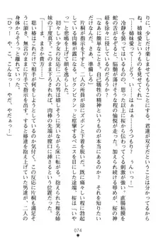 淫辱の魔法捜査官 羞恥陵辱24時, 日本語