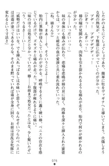 淫辱の魔法捜査官 羞恥陵辱24時, 日本語