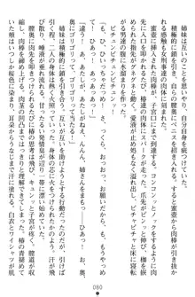 淫辱の魔法捜査官 羞恥陵辱24時, 日本語