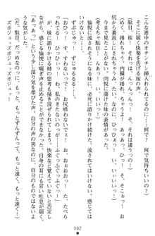 淫辱の魔法捜査官 羞恥陵辱24時, 日本語