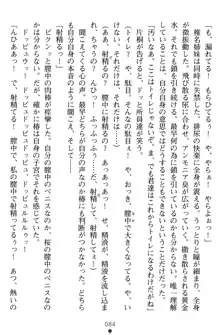 淫辱の魔法捜査官 羞恥陵辱24時, 日本語