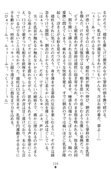 無双艶戯 堕とされし龍将姫, 日本語