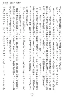 無双艶戯 堕とされし龍将姫, 日本語